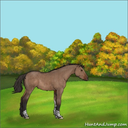 Horse Color:Liver Red Dun Tobiano Rabicano Brindle 