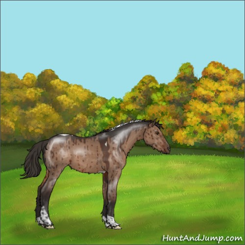 Horse Color:Liver Red Dun Tobiano Brindle 