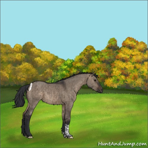 Horse Color:Brown Dun Tobiano Brindle 