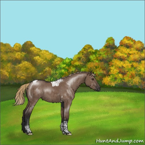 Horse Color:Liver Red Dun Tobiano Rabicano Brindle 