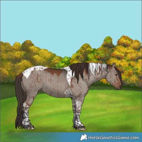 Horse Color:Liver Red Dun Tobiano Rabicano Brindle 
