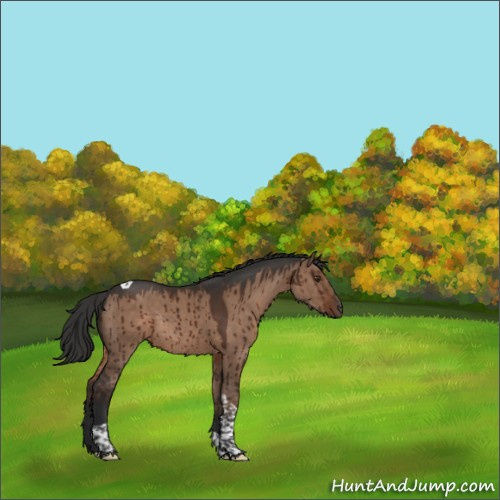 Horse Color:Liver Red Dun Tobiano Rabicano Brindle 