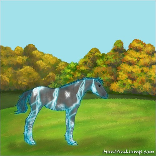 Horse Color:Thunderstruck Grullo Tobiano Rabicano Brindle 