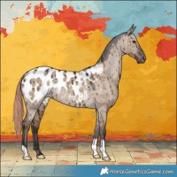 Horse Color:Liver Red Dun Appaloosa Rabicano Brindle 