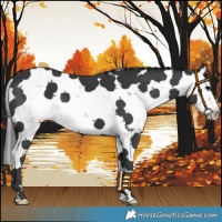 Horse Color:Black Sabino 