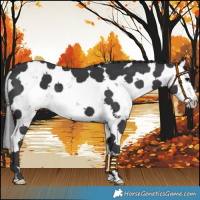 Horse Color:Black Sabino 