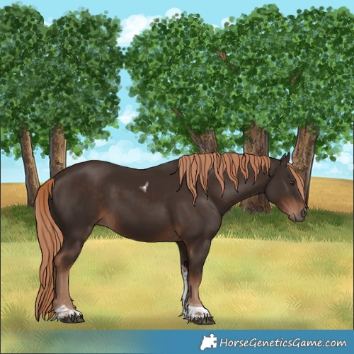 Horse Color:Liver Chestnut Tobiano 