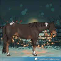 Horse Color:Liver Chestnut Tobiano 
