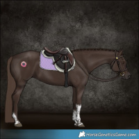 Horse Color:Liver Chestnut Tobiano 