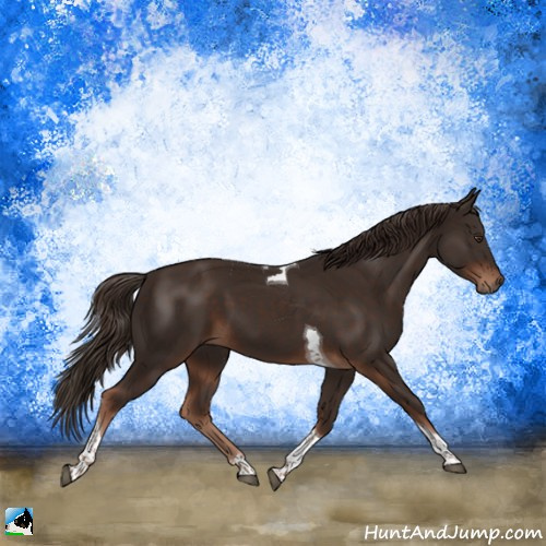Horse Color:Liver Chestnut Tobiano 