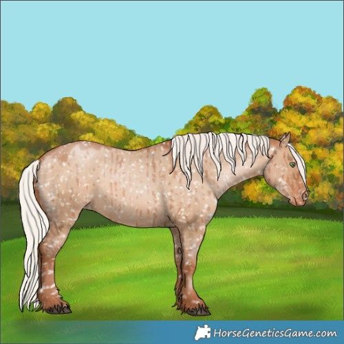 Horse Color:Silver Brown Pearl Dun Appaloosa Brindle 