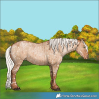 Horse Color:Silver Brown Pearl Dun Snowflake VarnishBrindle 