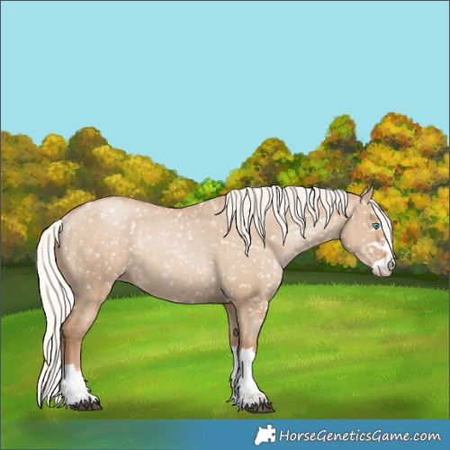 Horse Color:Silver Grullo Pearl Appaloosa Rabicano Brindle 