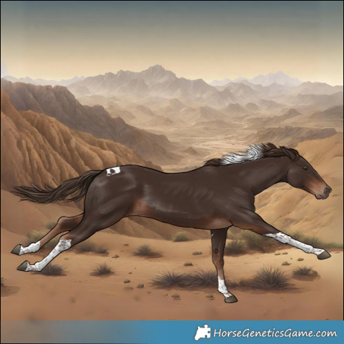 Horse Color:Liver Chestnut Tobiano 