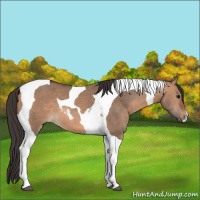 Horse Color:Bay Dun Tobiano 