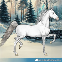 Horse Color:Smoky Black Snowflake Varnish