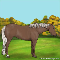 Horse Color:Silver Black 