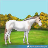 Horse Color:White Spotted Classic Champagne Pearl Tobiano Frame Rabicano 