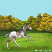 Horse Color:Silver Brown Dun Tobiano Frame Snowcap Rabicano 