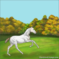 Horse Color:White Spotted Amber Cream Champagne Snowdrop Splash Tobiano Frame Near Fewspot Rabicano