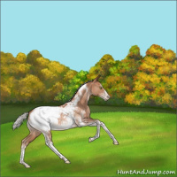 Horse Color:White Spotted Silver Bay Snowdrop Tobiano Frame Near Fewspot 