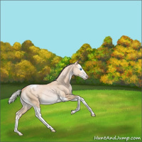 Horse Color:Silver Smoky Black Pearl Splash Tobiano Rabicano 