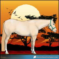 Horse Color:Buckskin Pearl 