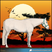 Horse Color:Perlino 