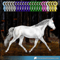 Horse Color:White Spotted Silver Grullo Snowdrop Pearl Tobiano Appaloosa Rabicano