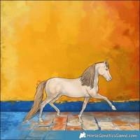 Horse Color:Smoky Black Pearl