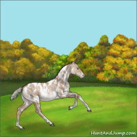 Horse Color:Silver Grullo Snowdrop Pearl Tobiano Near Leopard Rabicano 