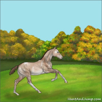 Horse Color:White Spotted Grullo Pearl Tobiano Appaloosa Rabicano