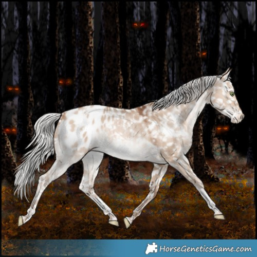 Horse Color:White Spotted Silver Brown Pearl Dun Tobiano Appaloosa Rabicano 