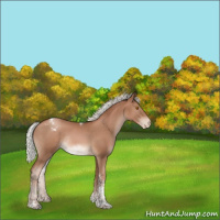 Horse Color:Silver Black Pearl Tobiano Appaloosa Rabicano 