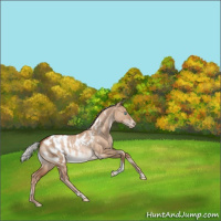 Horse Color:White Spotted Silver Brown Pearl Dun Tobiano Appaloosa Rabicano 