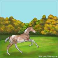 Horse Color:Silver Brown Pearl Tobiano Appaloosa Rabicano 