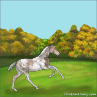 Horse Color:Silver Brown Dun Tobiano Blanket Rabicano 