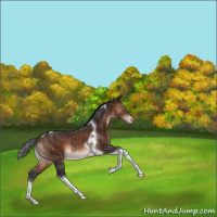 Horse Color:Brown Tobiano Snowflake Varnish Rabicano 
