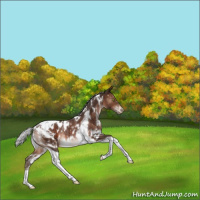 Horse Color:White Spotted Silver Brown Tobiano Blanket Rabicano 