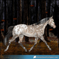 Horse Color:Bay Dun Tobiano Blanket Rabicano 
