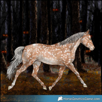 Horse Color:Silver Bay Snowdrop Pearl Tobiano Snowflake Varnish Rabicano 