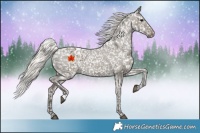 Horse Color:Silver Grullo Snowflake Varnish 