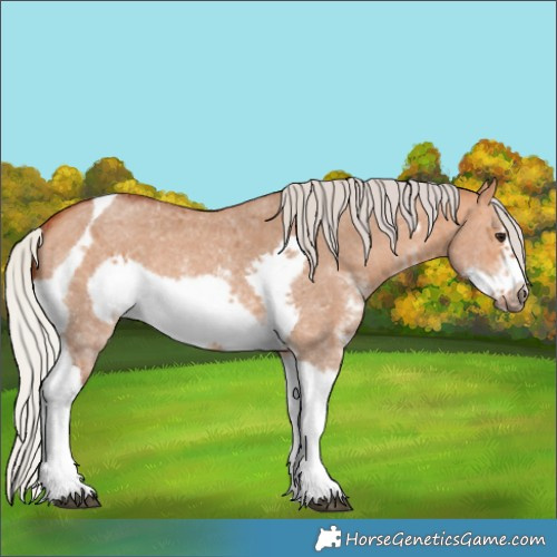 Horse Color:Silver Bay Dun Sabino Tobiano Frame Rabicano 