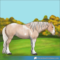 Horse Color:Silver Blue Roan Pearl Tobiano Frame 