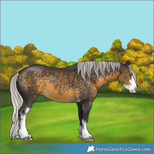 Horse Color:Silver Buckskin Sabino 