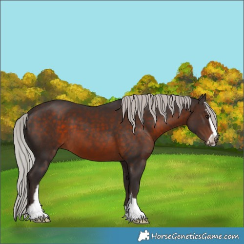Horse Color:Silver Brown Sabino 