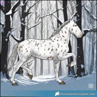 Horse Color:Silver Brown Dun Near Leopard 