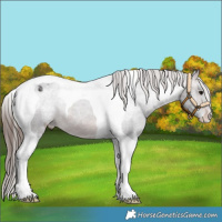Horse Color:Brown Tobiano Varnish