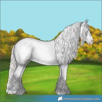 Horse Color:Silver Grullo Snowflake Varnish 