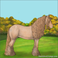 Horse Color:Red Roan Appaloosa 